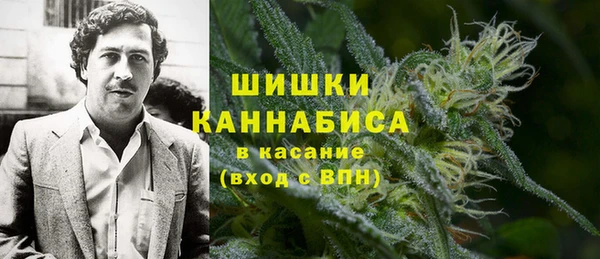 дмт Нягань