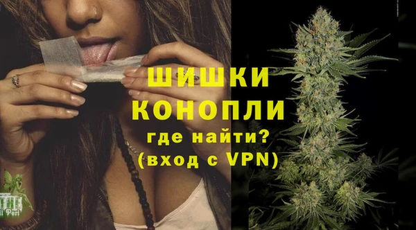 бошки Няндома